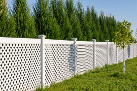 Transform Your Yard: Innovative and Cost-Effective Fencing Ideas for Privacy